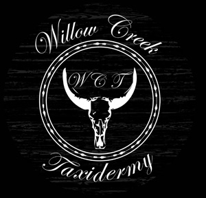 Willow Creek Logo