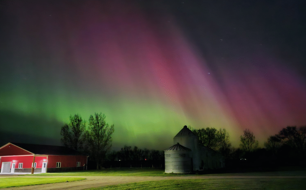 Willow Creek Taxidermy
North Dakota
Hunter, ND 
Fargo, ND
Taxidermy
Taxidermists
Fargo taxidermy
Fargo taxidermists